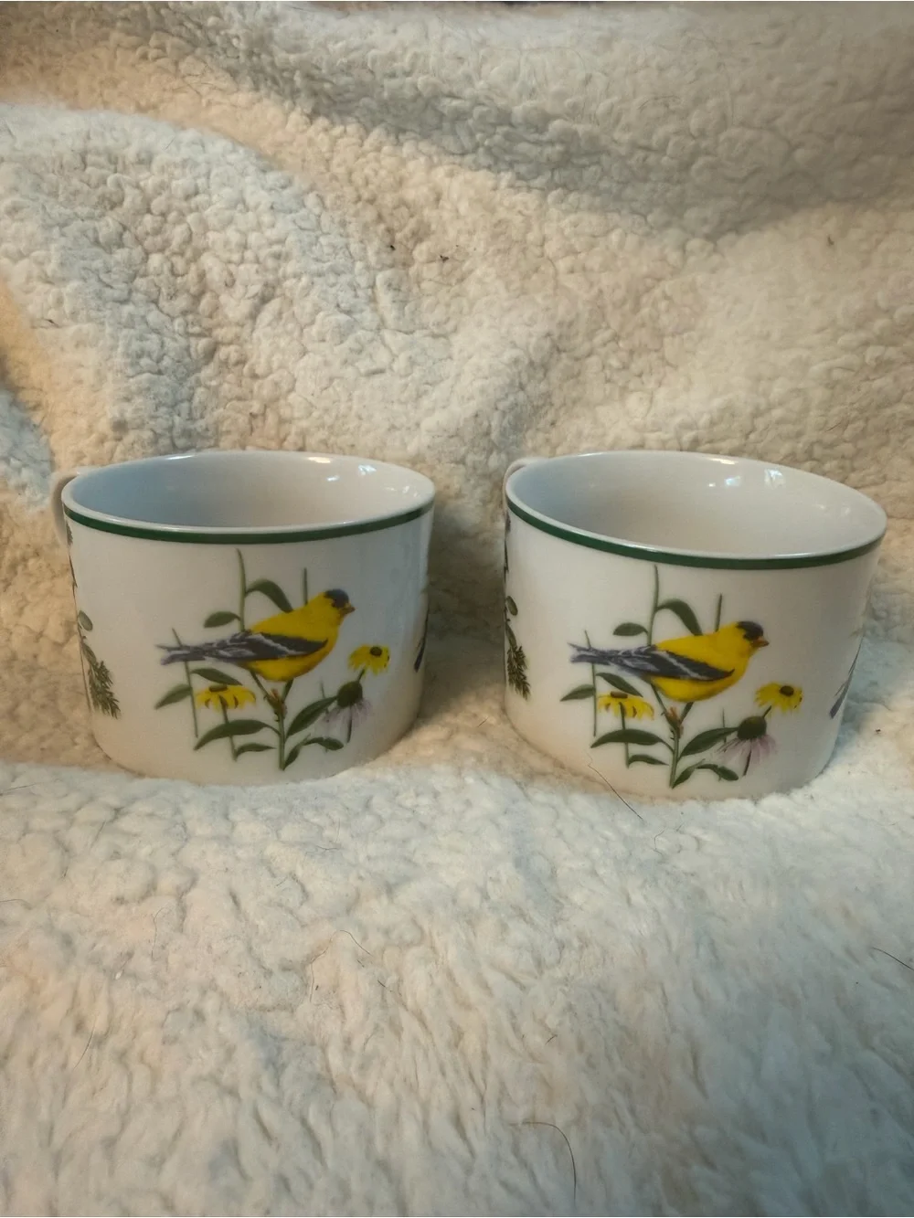 2 Vintage National Wildlife Federation “American Songbirds” Tea Cups. RARE